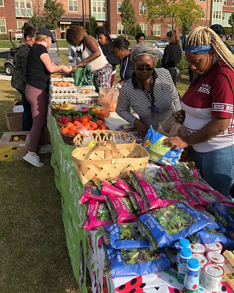 Human & Community Service